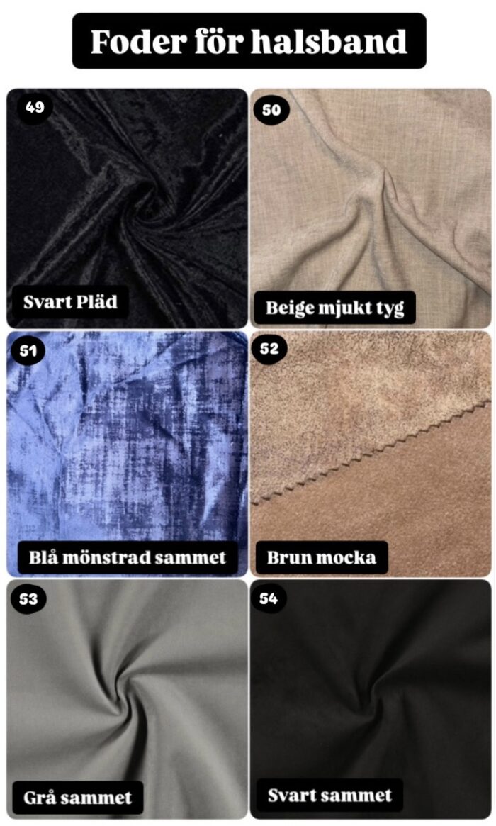 Halsband Fast 4cm - med bältesspänne