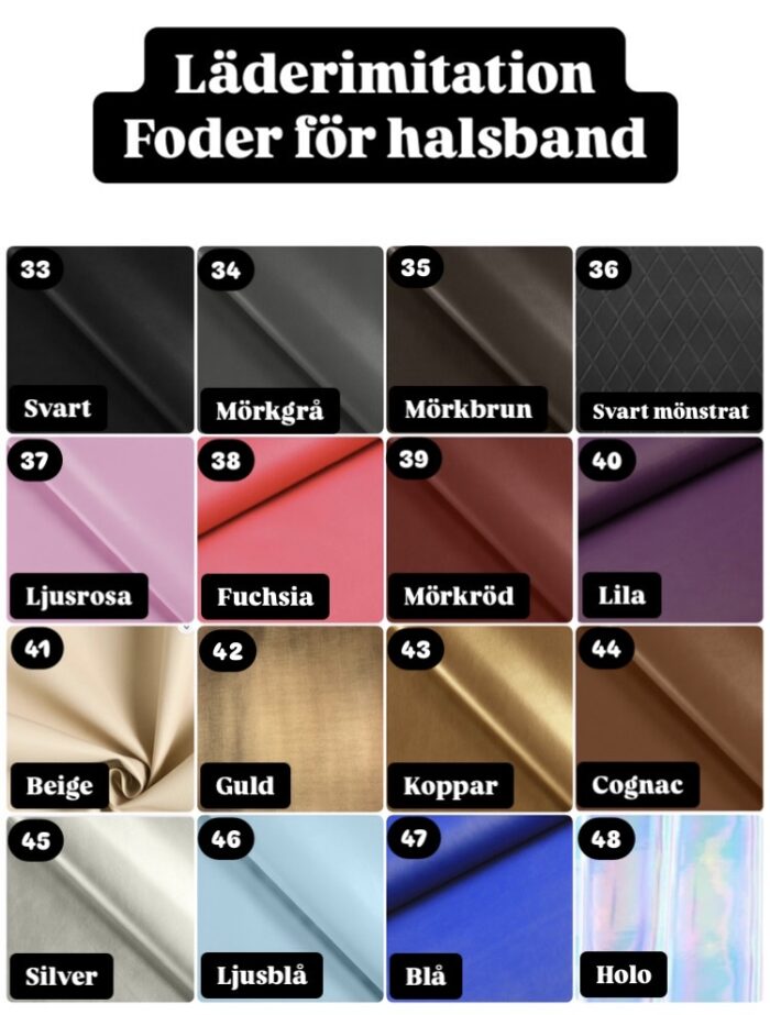 Halsband Fast 4cm - med bältesspänne