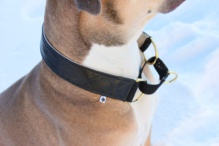 Halsband Halvstryp 4cm - Martingale