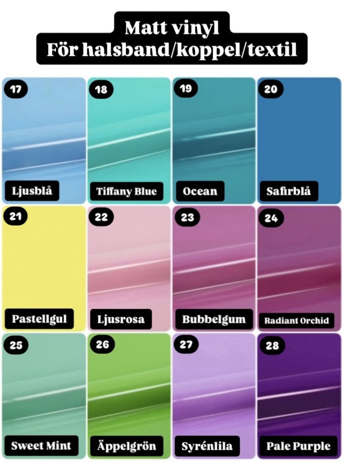 Halsband Fast 4cm - med bältesspänne