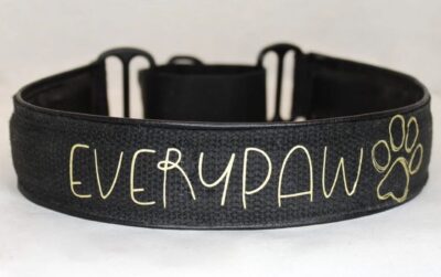 Halsband Halvstryp 4cm - Martingale