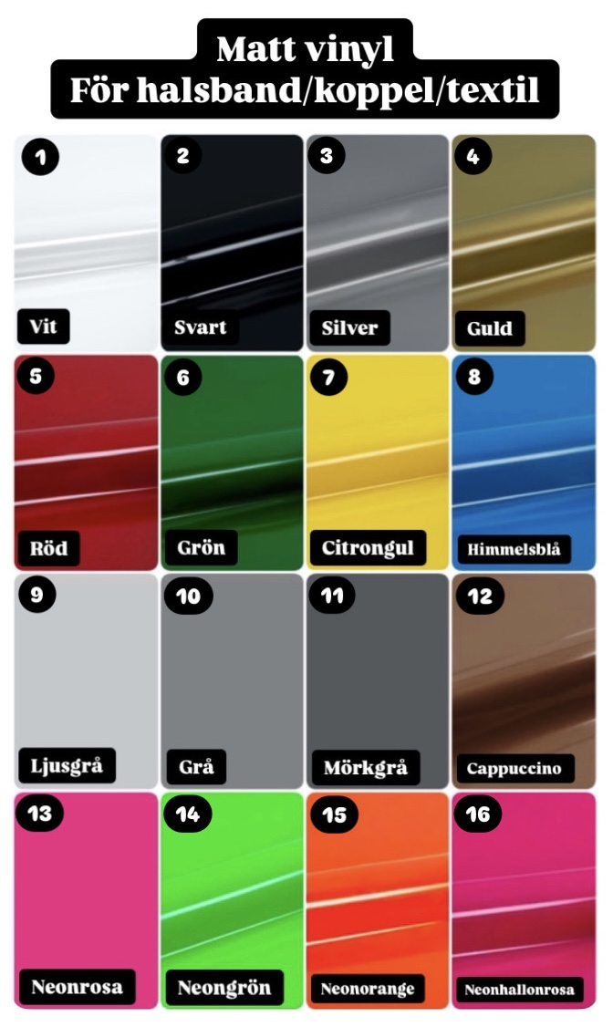 Halsband Fast 4cm - med bältesspänne