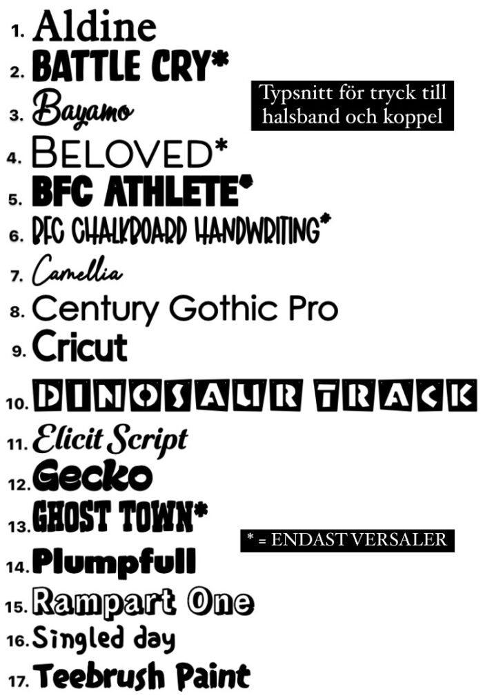 Halsband Fast 4cm - med bältesspänne