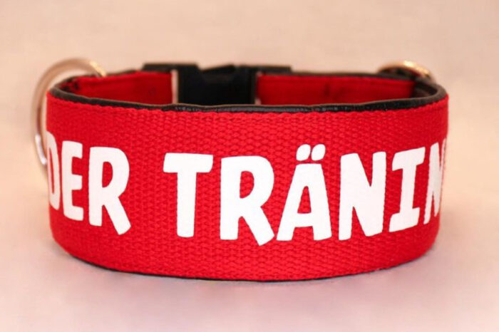 IMG_0679-1.jpeg Halsband Fast 5cm - ställbart