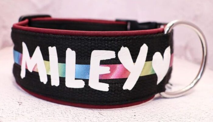 IMG_0691-1-e1714044228525.jpeg Halsband Fast 5cm - ställbart