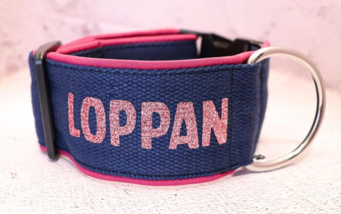 IMG_0693-1.jpeg Halsband Fast 5cm - ställbart