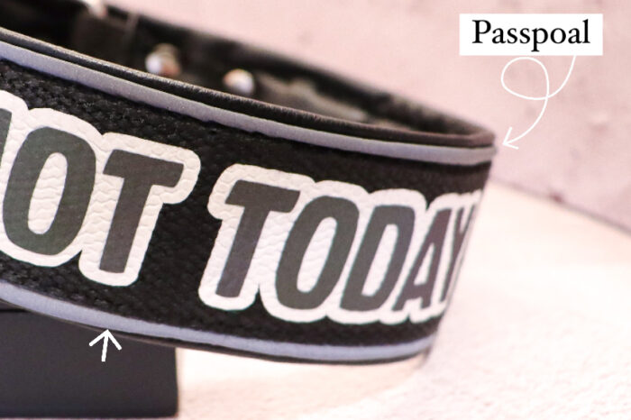 Halsband Fast 4cm - med bältesspänne