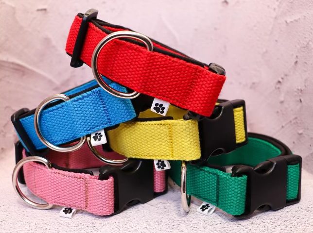 Halsband Fast 2.5cm - ställbart