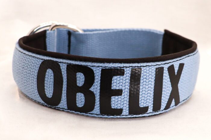 IMG_3892-e1714049562944.jpeg Halsband Halvstryp 2.5cm