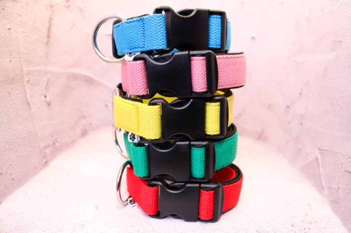 Halsband Fast 2.5cm - ställbart