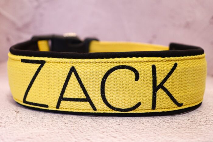 Halsband Halvstryp 4cm - med knäppe