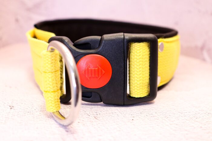 Halsband Halvstryp 4cm - med knäppe