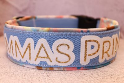 Halsband Fast 4cm - ställbart