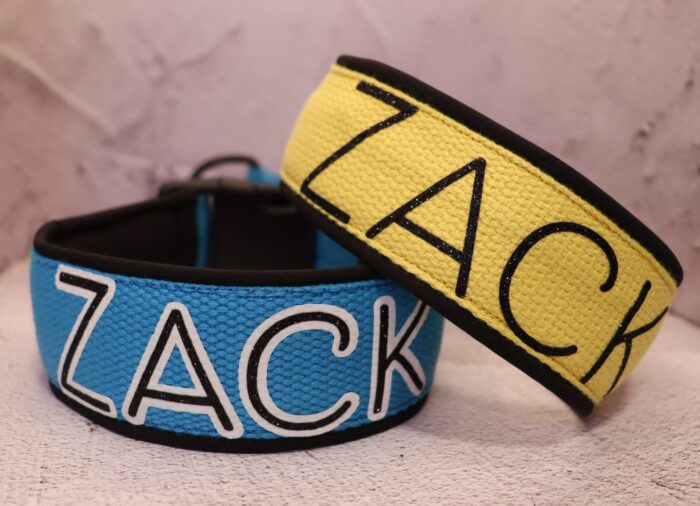 Halsband Halvstryp 4cm - med knäppe