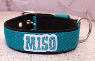 Halsband Fast 2.5cm - med bältesspänne