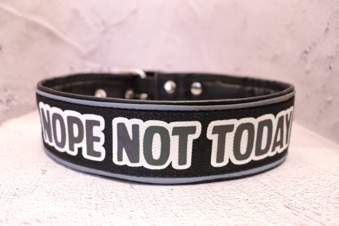 Halsband Fast 4cm - med bältesspänne