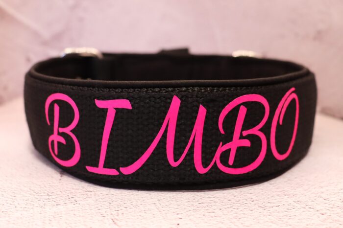 Halsband Fast 4cm - med bältesspänne