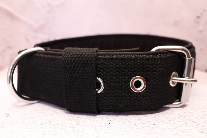 Halsband Fast 4cm - med bältesspänne