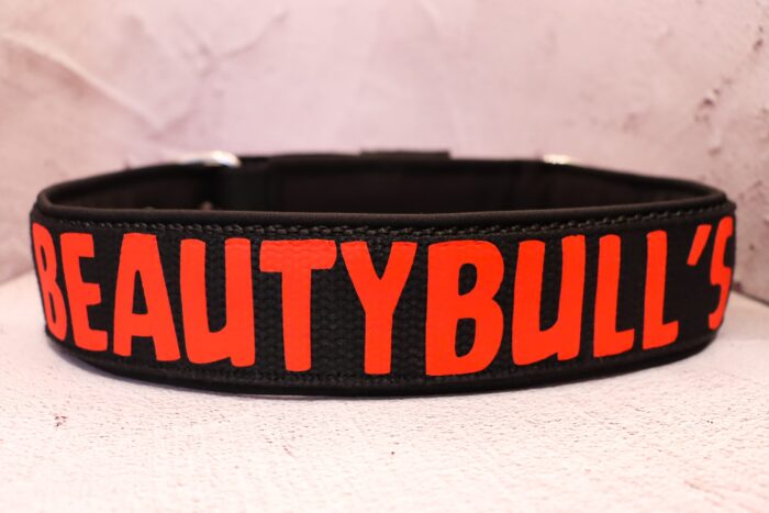 Halsband Fast 4cm - med bältesspänne