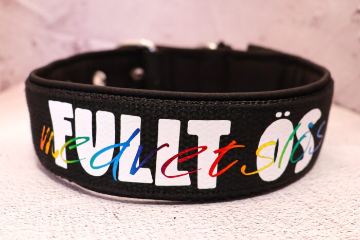 Halsband Fast 4cm - med bältesspänne