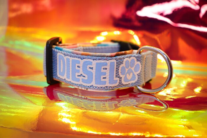 Halsband Fast 2.5cm - ställbart