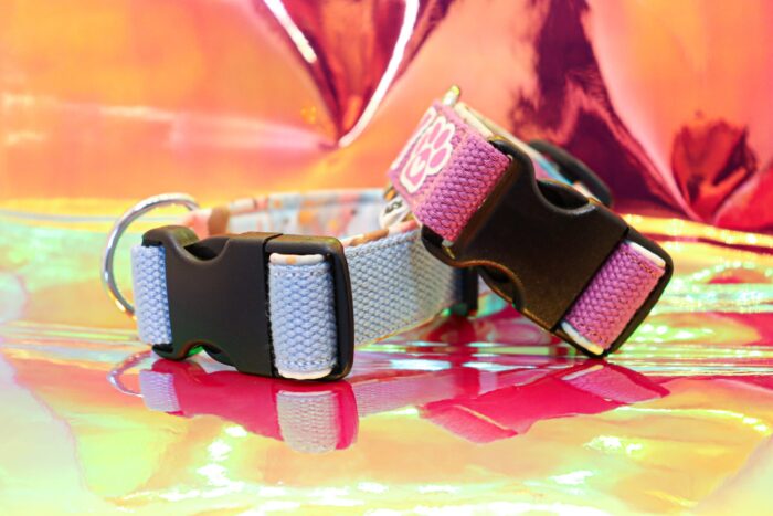 Halsband Fast 2.5cm - ställbart