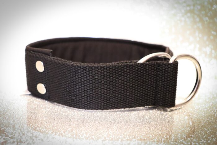 IMG_5758-scaled-1.jpeg Halsband Halvstryp 4cm