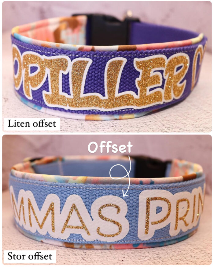 Halsband Fast 4cm - med bältesspänne